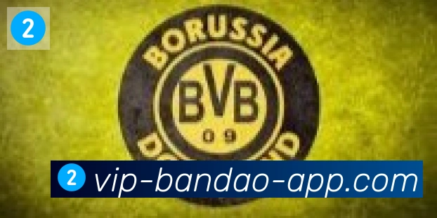 半岛体育app合作伙伴